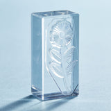 透明スタンプ「氷印」ヒカリセット