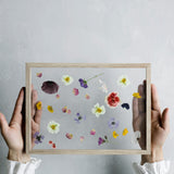 MOEBE(ムーベ)フレーム A4サイズ オーク