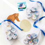 HITOTOKI SODAスペシャルセット フラワー