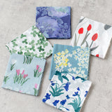 Handkerchief Crocus(sky blue)(大槻優美)