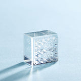 透明スタンプ「氷印」小サイズ CLS22-006 サカナ