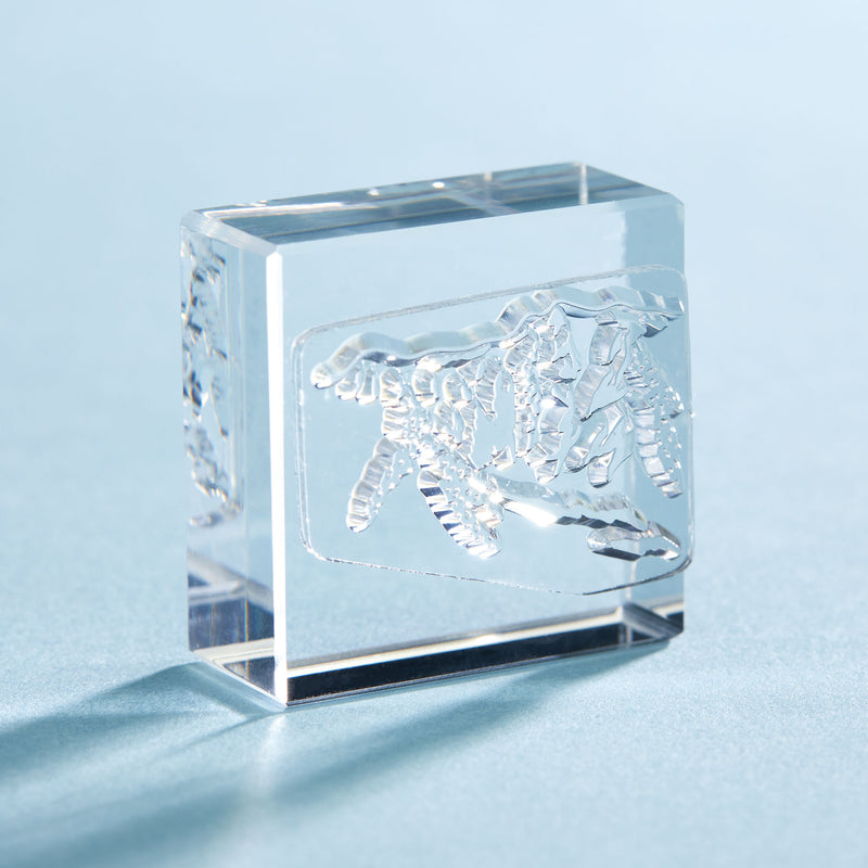 透明スタンプ「氷印」大サイズ CLS33-006 ヤマ