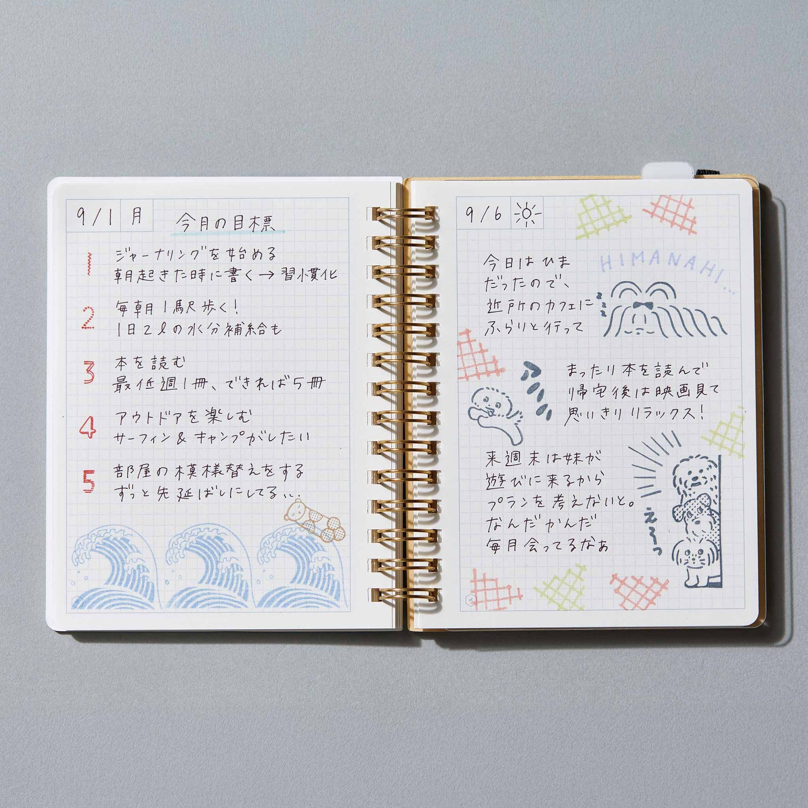 cls2_3_1600x.jpg?v=1754354068