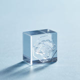 透明スタンプ「氷印」ヒカリセット