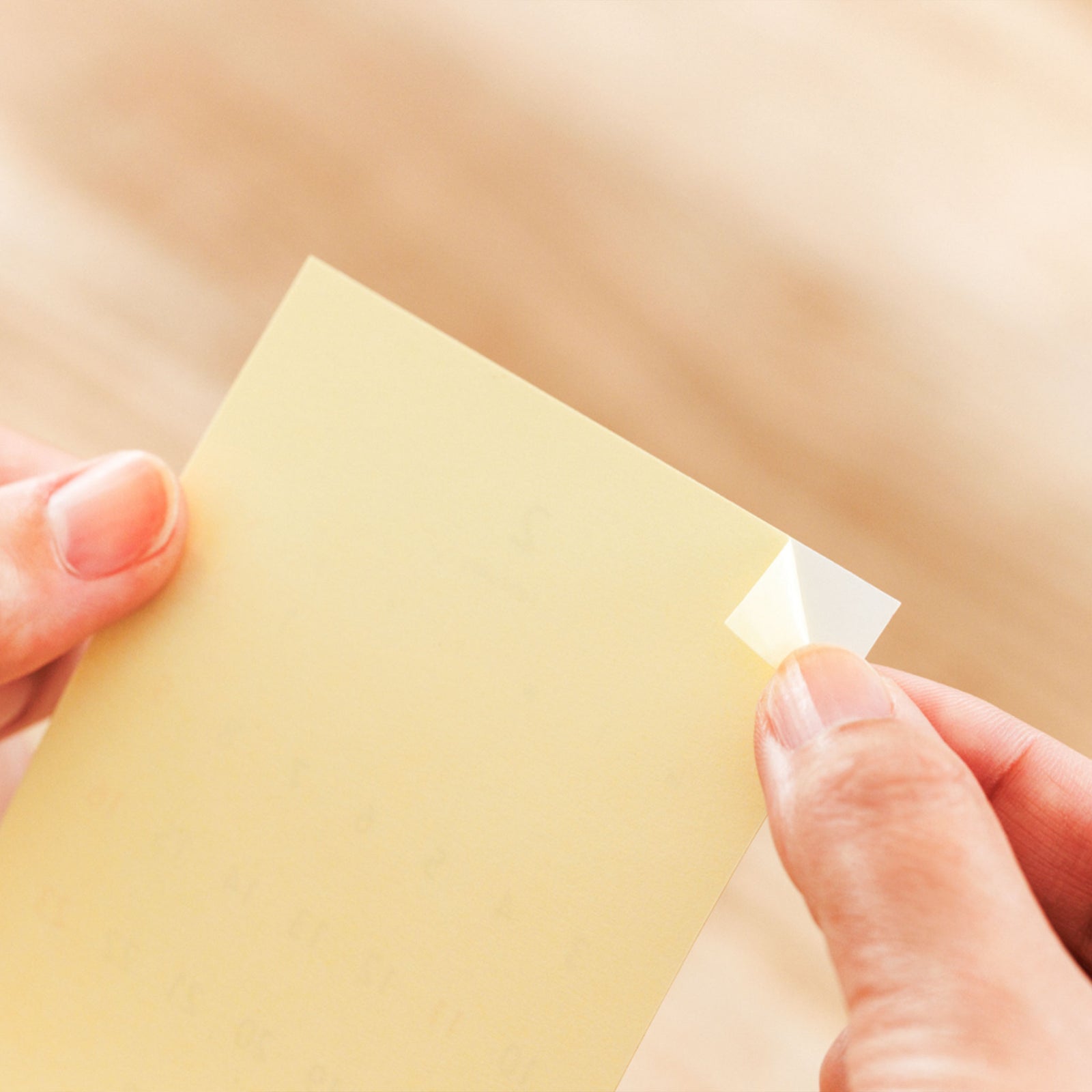 HITOTOKI NOTE ラウンドジップタイプ セット クマッキー｜HITOTOKI公式