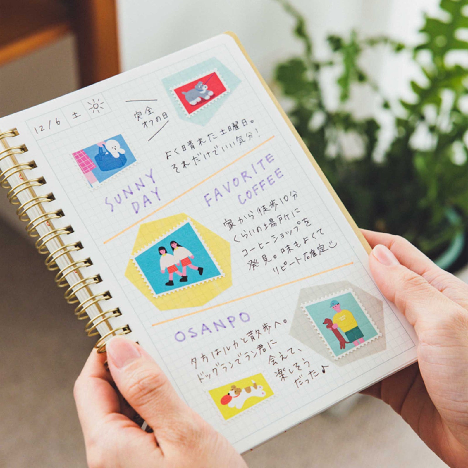 KITTA SPECIAL ワンコ｜HITOTOKI公式オンラインストア – HITOTOKI 公式