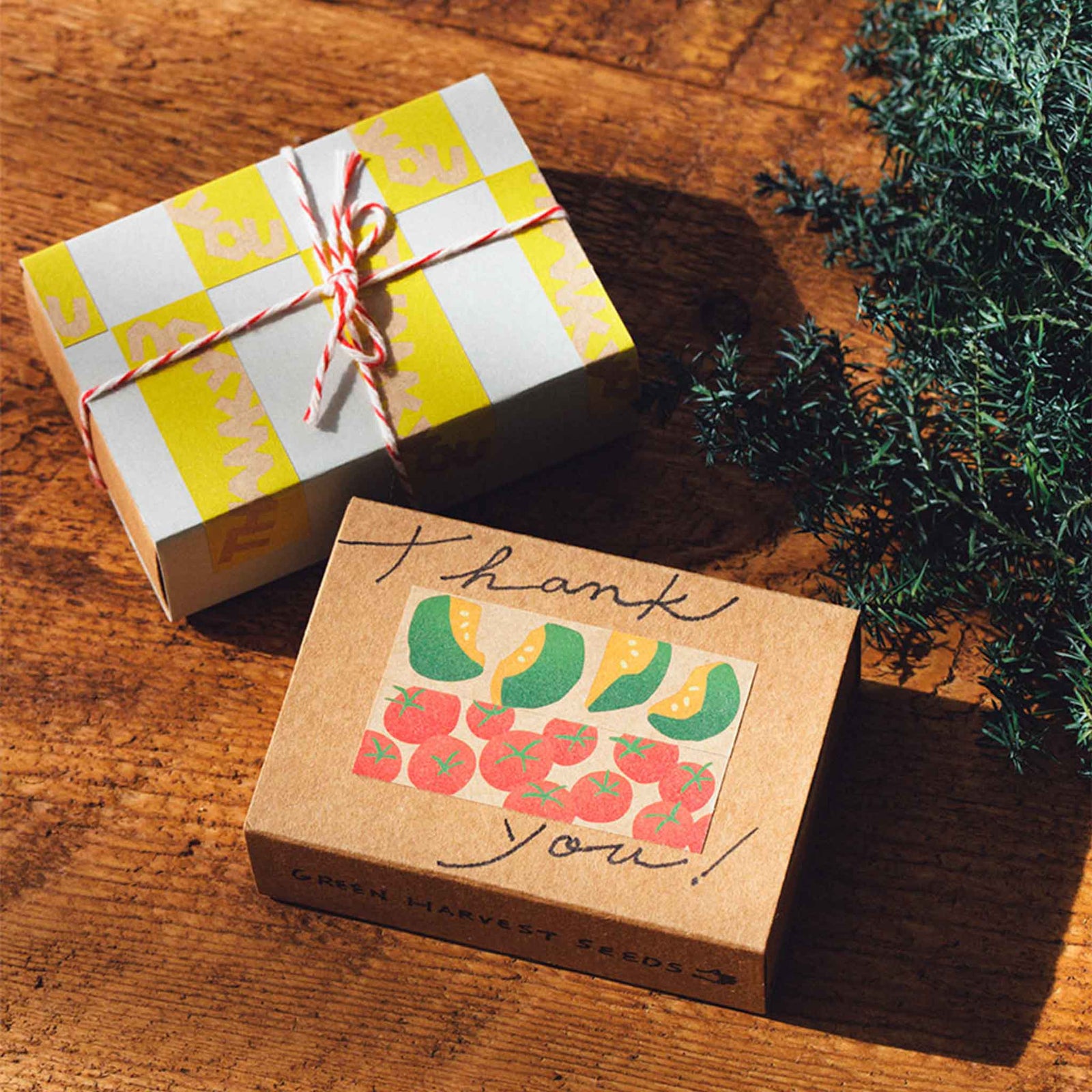 KITTA SPECIAL キリエ｜HITOTOKI公式オンラインストア – HITOTOKI 公式