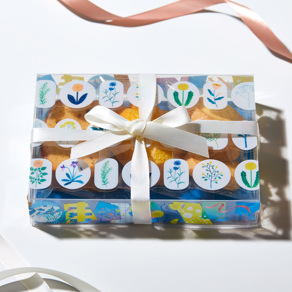 KING JIM SODA PET Tape - Palette (1cm)